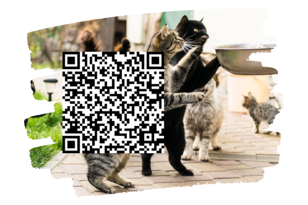 Im Hintergrund werden Katzen gefüttert. im Vordergrund ist ein QR Code zu sehen.